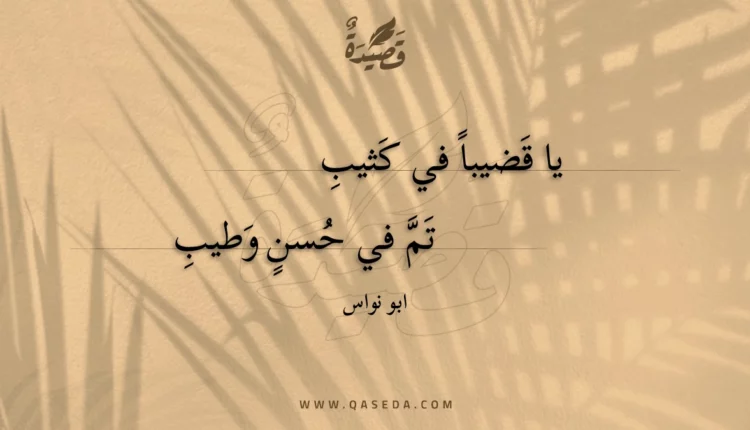 قصيدة يا قضيبا في كثيب