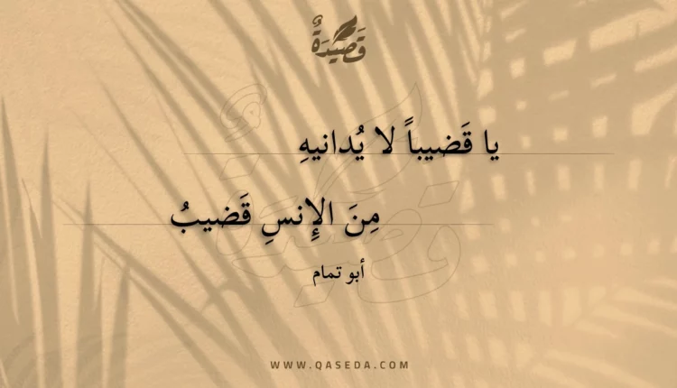 قصيدة يا قضيبا لا يدانيه