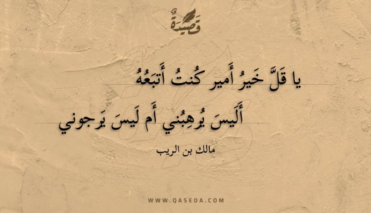 قصيدة يا قل خير أمير كنت أتبعه