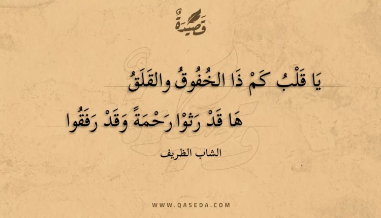 قصيدة يا قلب كم ذا الخفوق والقلق