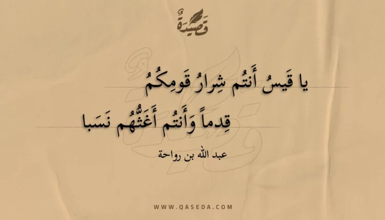 قصيدة يا قيس أنتم شرار قومكم