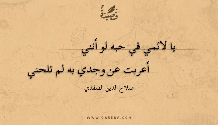 قصيدة يا لائمي في حبه لو أنني