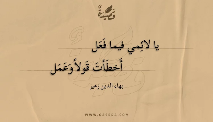 قصيدة يا لائمي فيما فعل