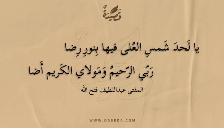 قصيدة يا لحد شمس العلى فيها بنور رضا