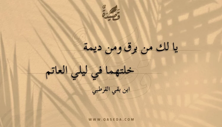 قصيدة يا لك من برق ومن ديمة