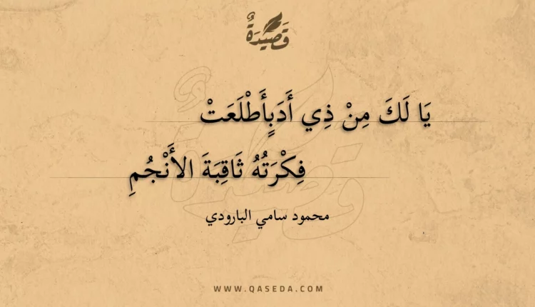 قصيدة يا لك من ذي أدب