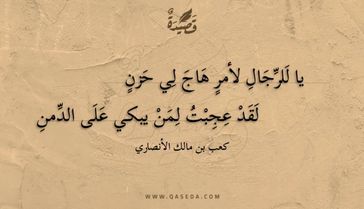 قصيدة يا للرجال لأمر هاج لي حزن