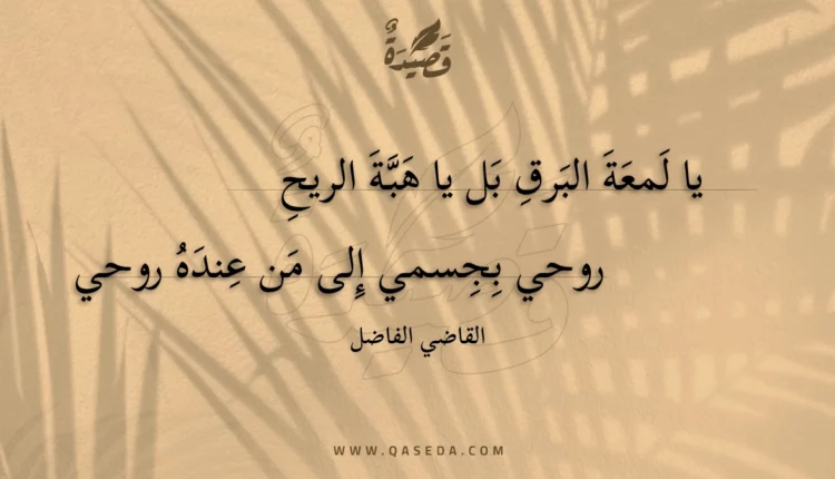 قصيدة يا لمعة البرق بل يا هبة الريح