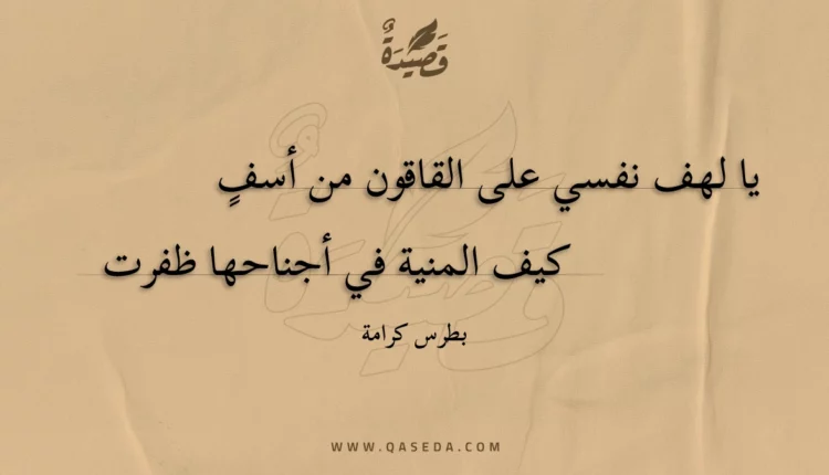 قصيدة يا لهف نفسي على القاقون من أسف