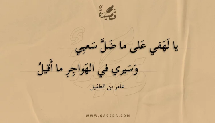 قصيدة يا لهفي على ما ضل سعيي