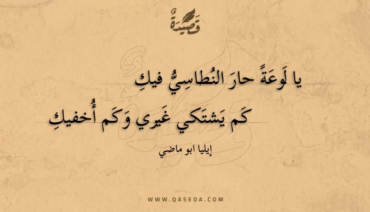 قصيدة يا لوعة حار النطاسي فيك