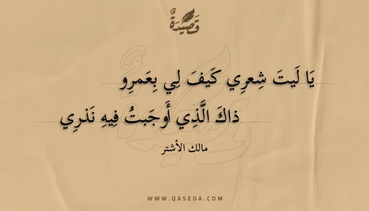قصيدة يا ليت شعري كيف لي بعمرو
