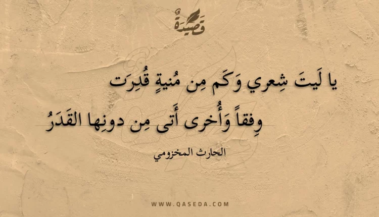 قصيدة يا ليت شعري وكم من منية قدرت