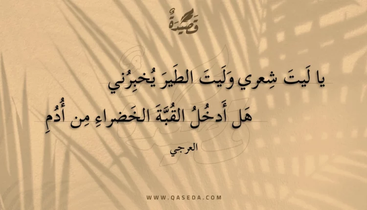 قصيدة يا ليت شعري وليت الطير يخبرني
