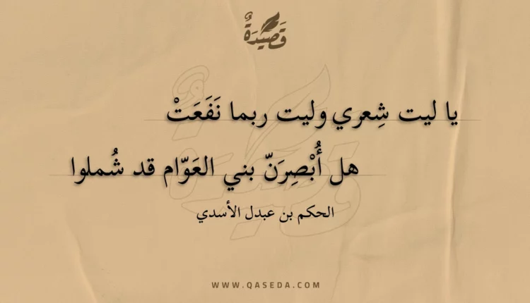 قصيدة يا ليت شعري وليت ربما نفعت
