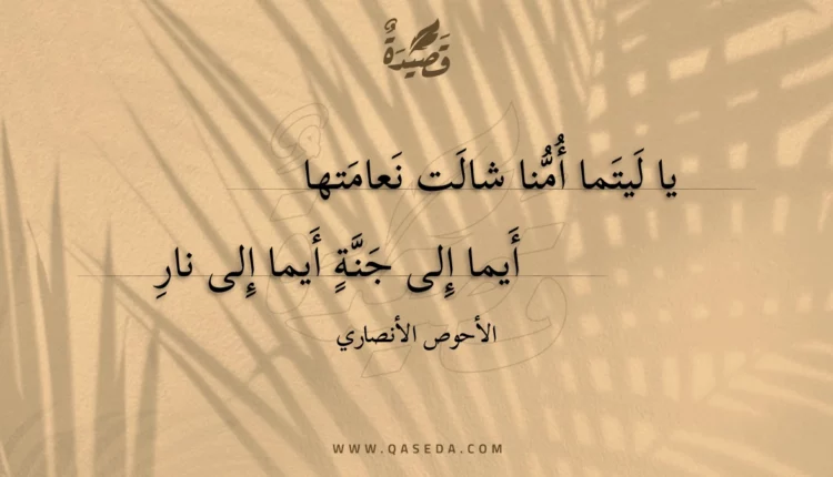 قصيدة يا ليتما أمنا شالت نعامتها
