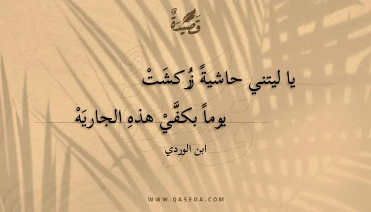 قصيدة يا ليتني حاشية زركشت