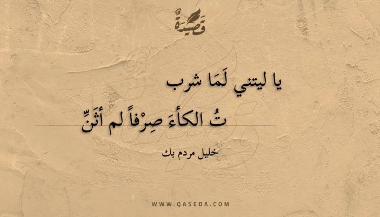 قصيدة يا ليتني لما شرب