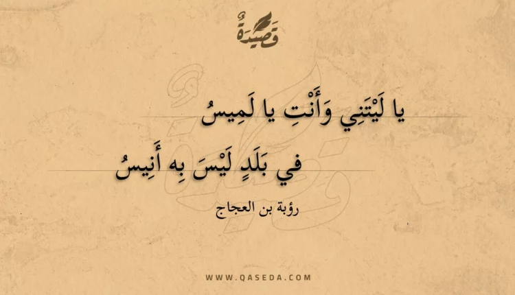 قصيدة يا ليتني وأنت يا لميس