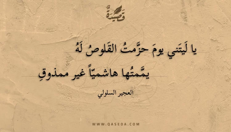 قصيدة يا ليتني يوم حزمت القلوص له
