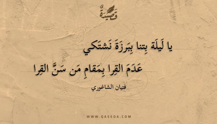 قصيدة يا ليلة بتنا ببرزة نشتكي