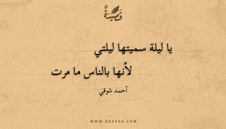 قصيدة يا ليلة سميتها ليلتي