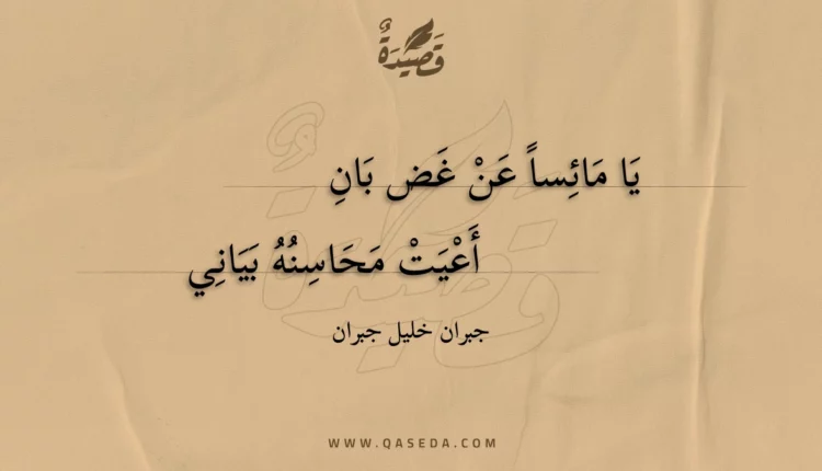 قصيدة يا مائسا عن غض بان