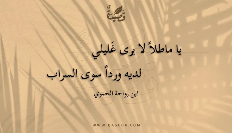 قصيدة يا ماطلاً لا يرى غليلي