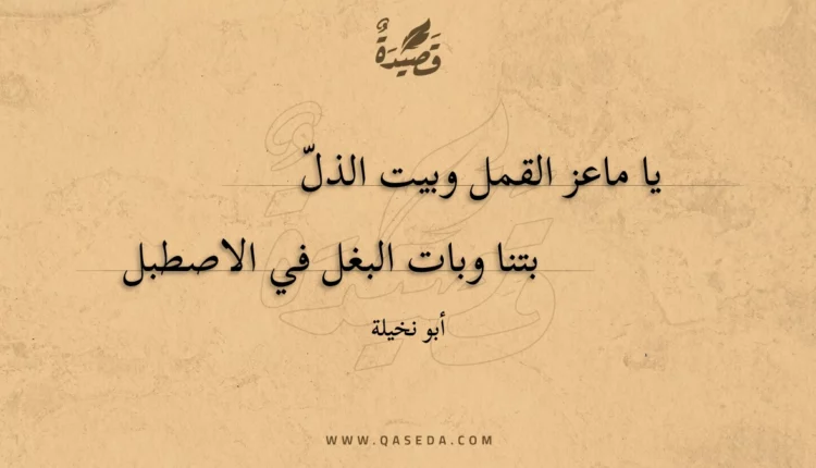 قصيدة يا ماعز القمل وبيت الذل