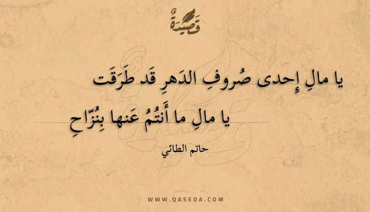 قصيدة يا مال إحدى صروف الدهر قد طرقت