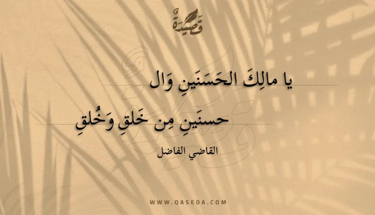 قصيدة يا مالك الحسنين وال