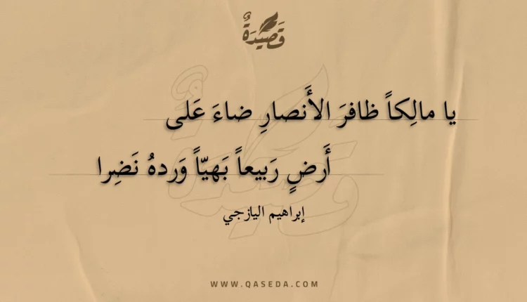 قصيدة يا مالكا ظافر الأنصار ضاء على