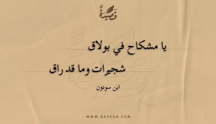 قصيدة يا مشكاح في بولاق