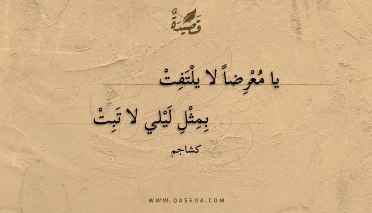 قصيدة يا معرضا لا يلتفت