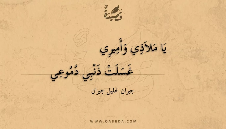 قصيدة يا ملاذي وأميري