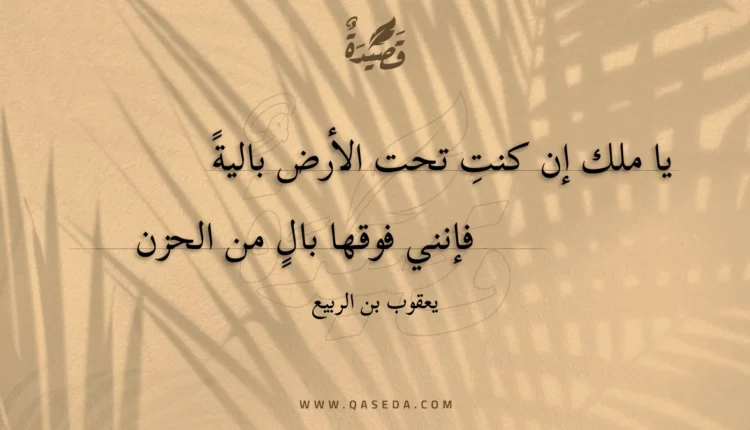 قصيدة يا ملك إن كنتِ تحت الأرض بالية