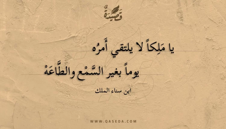 قصيدة يا ملكاً لا يلتقي أمره
