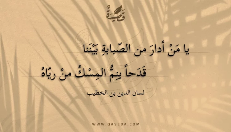 قصيدة يا من أدار من الصبابة بيننا