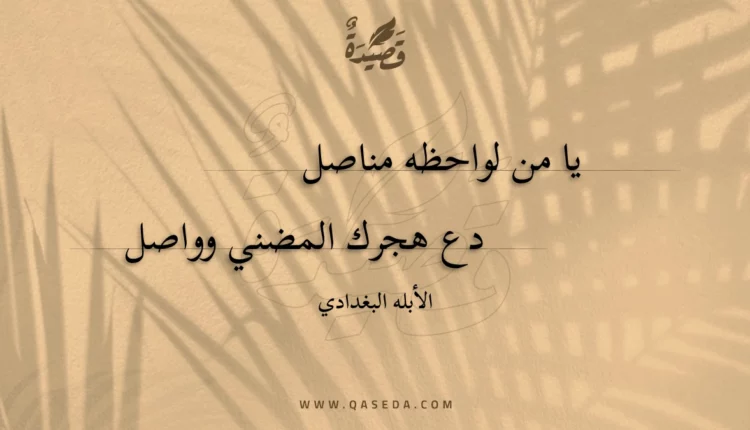 قصيدة يا من لواحظه مناصل