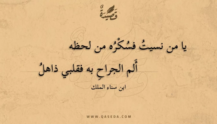 قصيدة يا من نسيت فسكره من لحظه