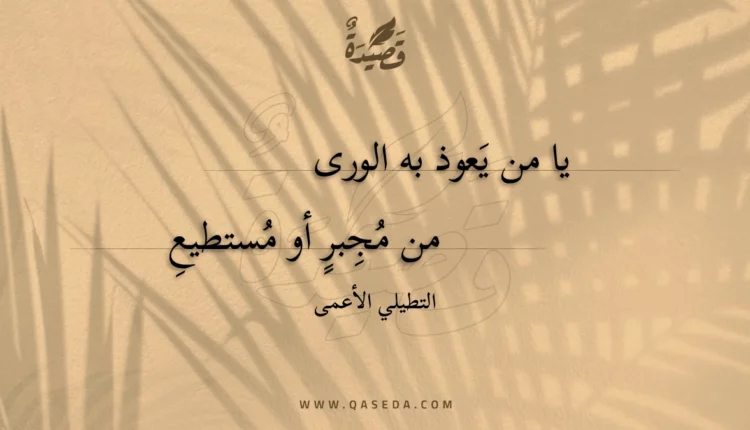 قصيدة يا من يعوذ به الورى