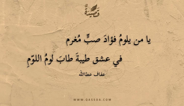 قصيدة يا من يلوم فؤاد صب مغرم