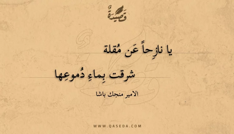 قصيدة يا نازحا عن مقلة