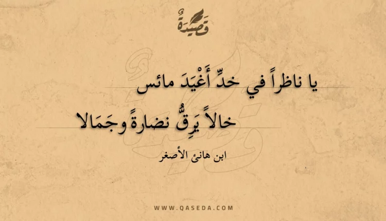 قصيدة يا ناظرا في خد أغيد مائس