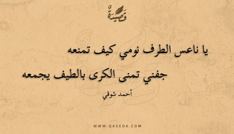 قصيدة يا ناعس الطرف نومي كيف تمنعه