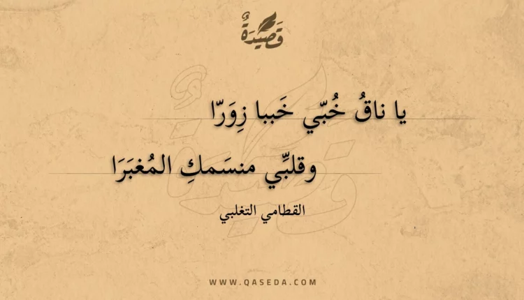 قصيدة يا ناق خبي خببا زورا