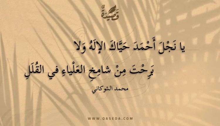 قصيدة يا نجل أحمد حياك الإله ولا