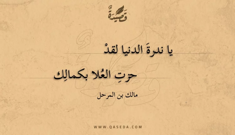 قصيدة يا ندرة الدنيا لقد