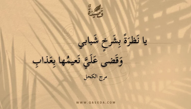 قصيدة يا نظرة بشرخ شبابي