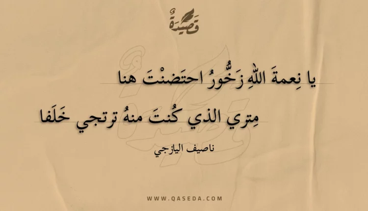 قصيدة يا نعمة الله زخور احتضنت هنا